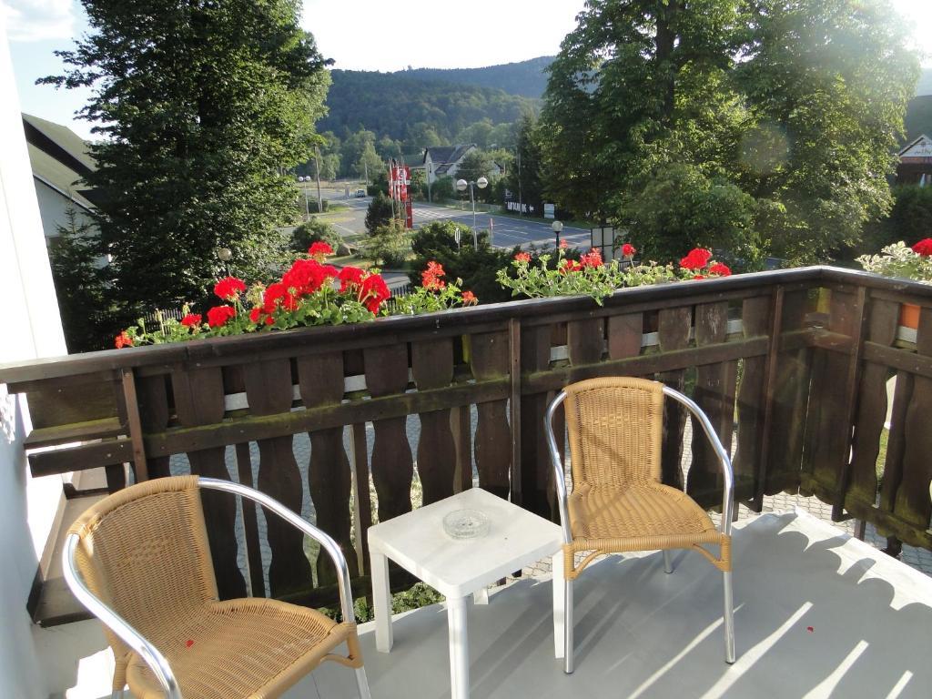 Villa Zerotin Penzion Bed & Breakfast Velké Losiny Exterior foto